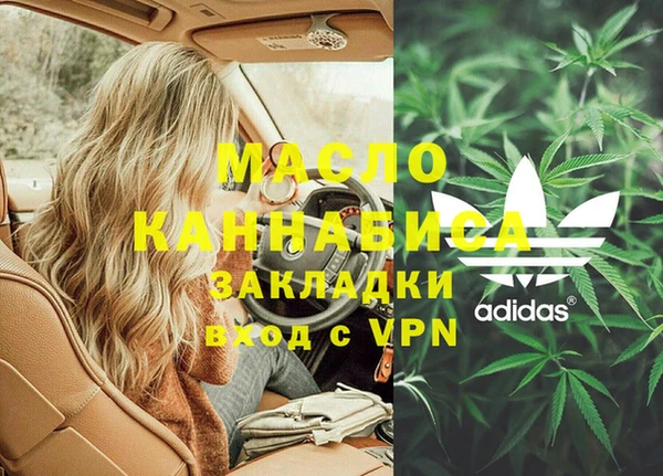 твердый Заводоуковск
