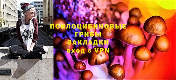 PSILOCYBIN Заволжье