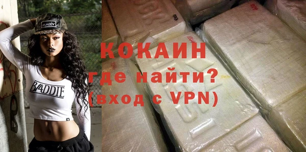 твердый Заводоуковск