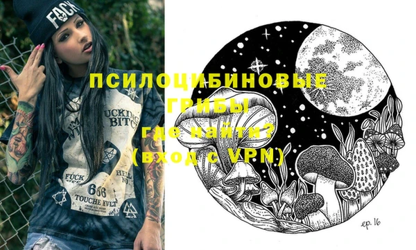 твердый Заводоуковск