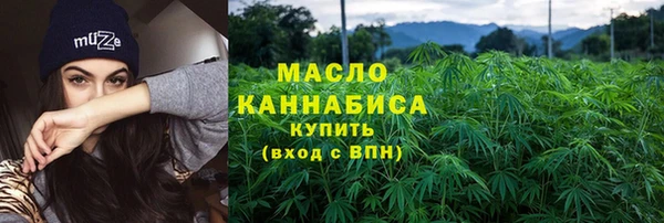 твердый Заводоуковск