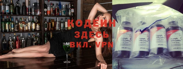 твердый Заводоуковск